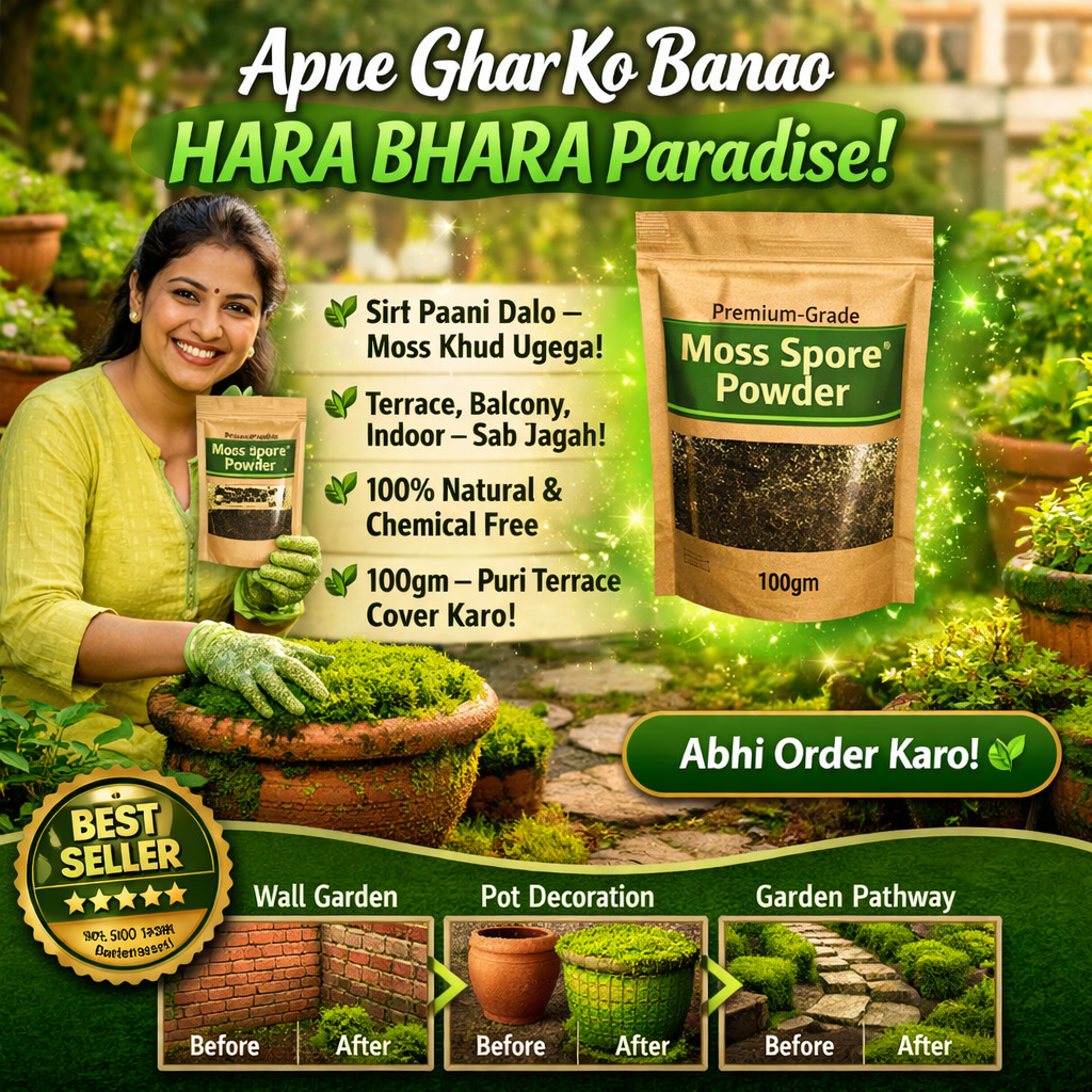 🔥Premium-Grade Moss Spore Powder🔥Buy 1 Get 1 Free🔥😍