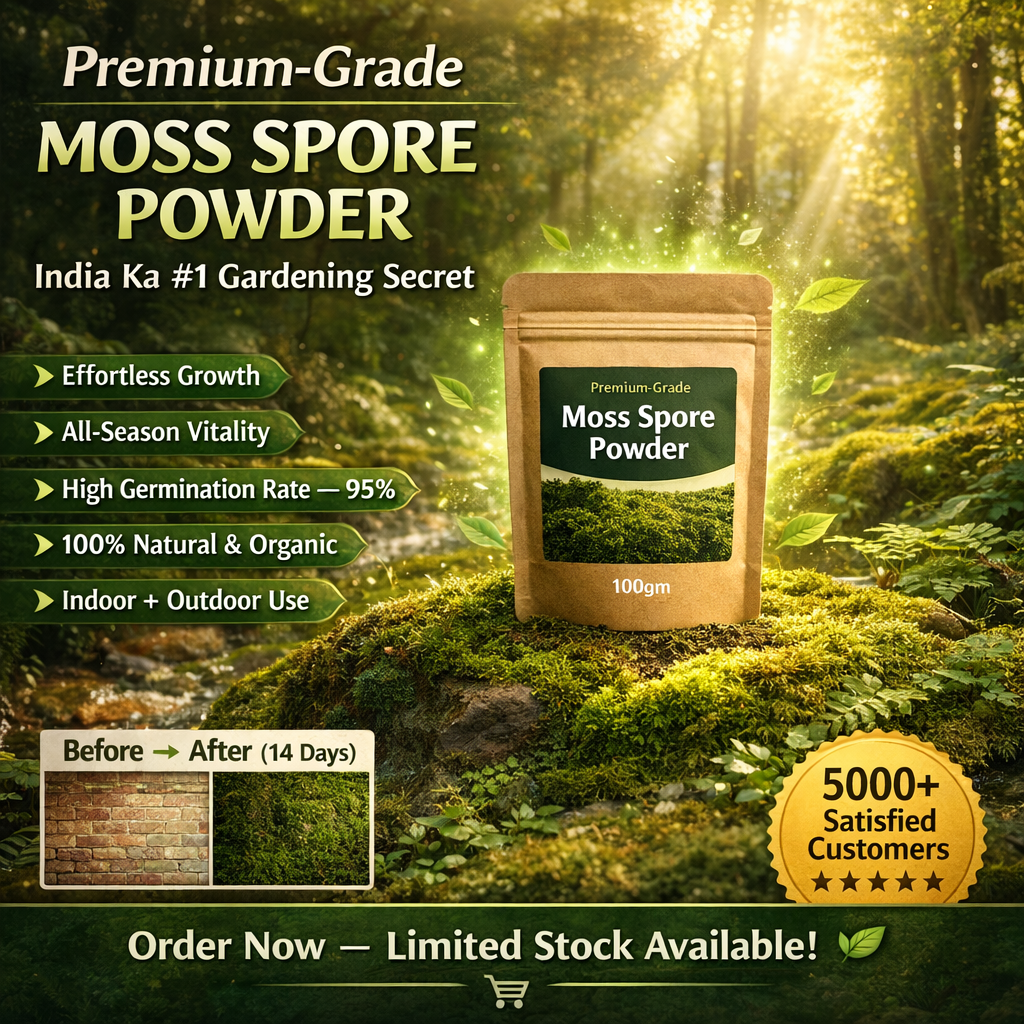 🔥Premium-Grade Moss Spore Powder🔥Buy 1 Get 1 Free🔥😍