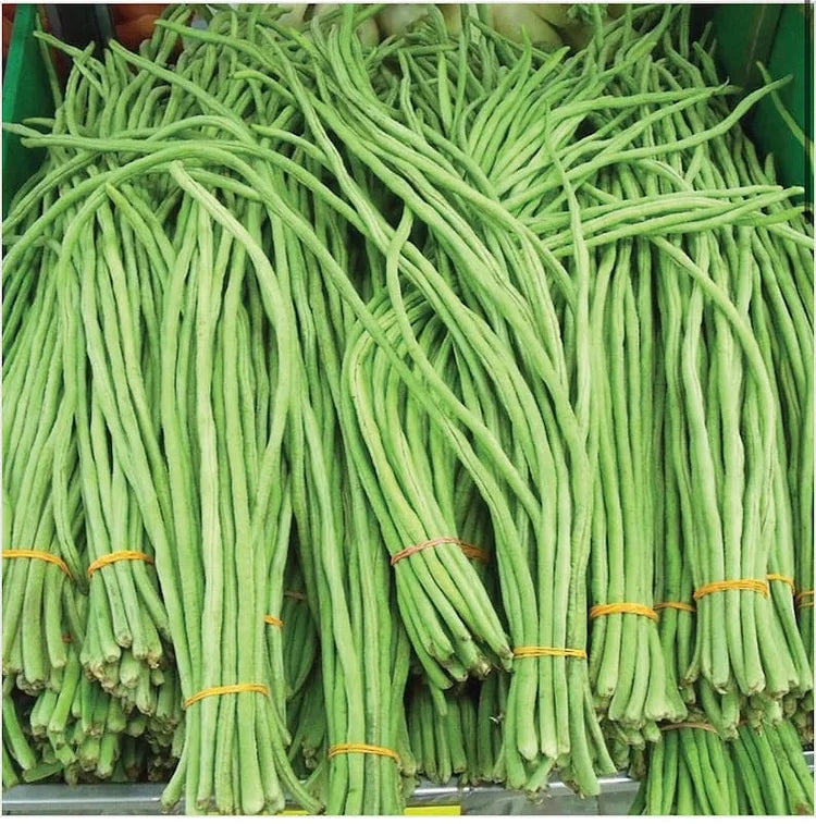 🔥Super-Long Green Bean Seeds - Super Yield | 🔥Buy 1 Get 1 Free🔥 Secondary image