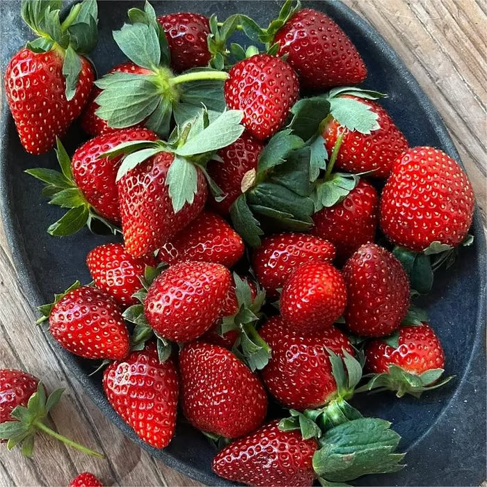 🔥⏰Last Day Promotion🌱BLACK PEARL STRAWBERRY SEEDS | 🔥Buy 1 Get 1 Free🔥 Secondary image