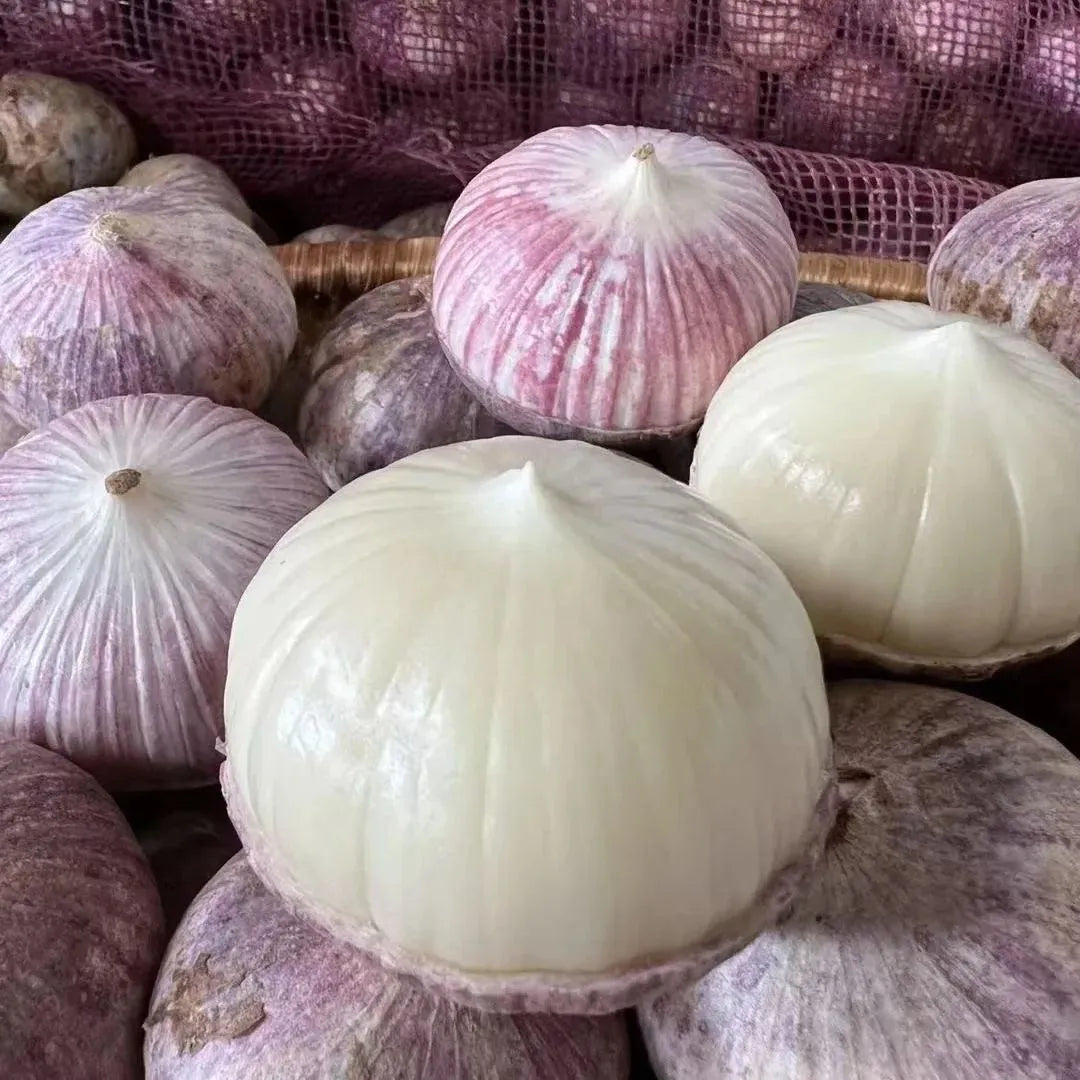 🧄Single Clove Garlic: Bold Flavor, Healthy Choice! | 🔥Buy 1 Get 1 Free🔥 Main image
