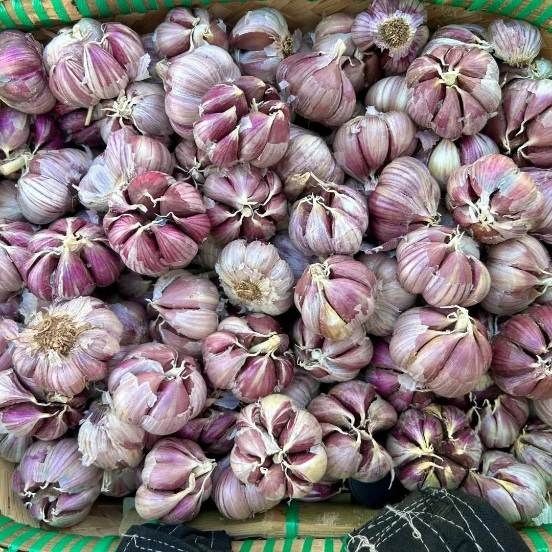 🧄Single Clove Garlic: Bold Flavor, Healthy Choice! | 🔥Buy 1 Get 1 Free🔥