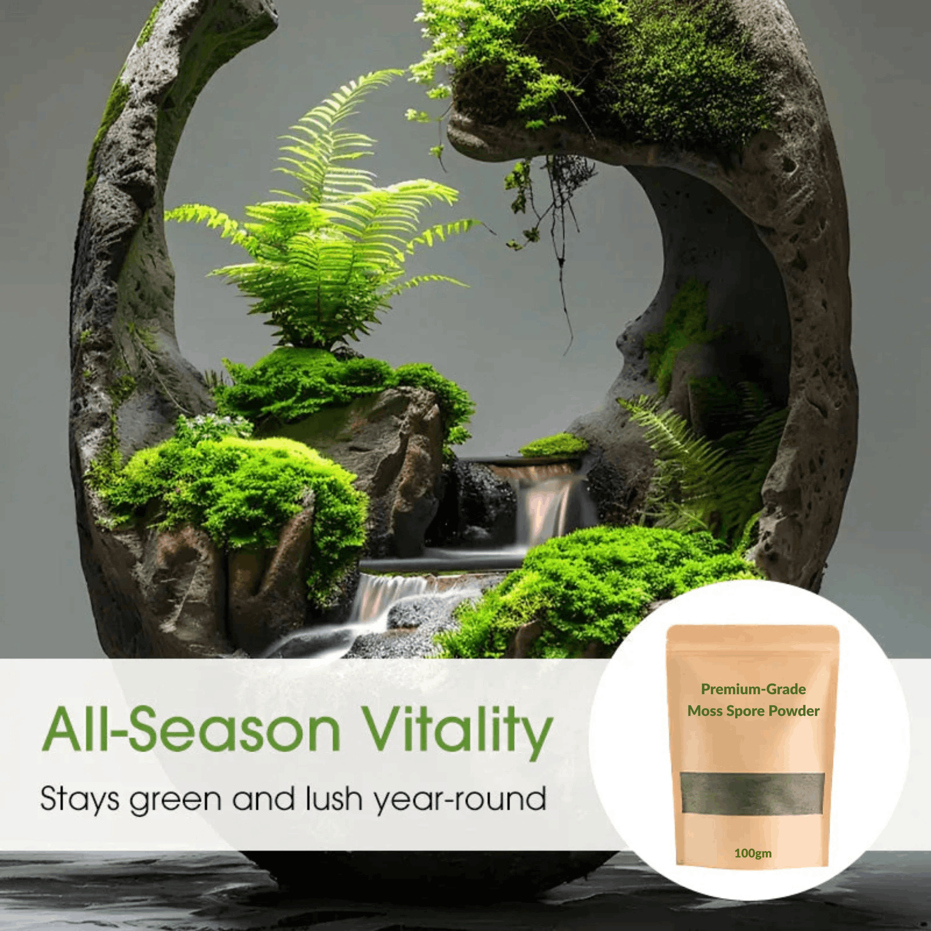 🔥Premium-Grade Moss Spore Powder🔥Buy 1 Get 1 Free🔥😍