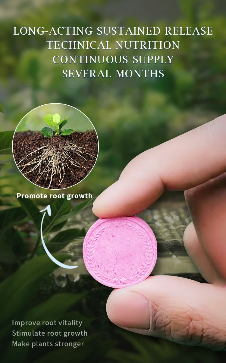 🔥2025 Hot Sale 50%OFF 🌞Home Gardening Universal Slow-Release Tablet Organic Fertilizer Main image