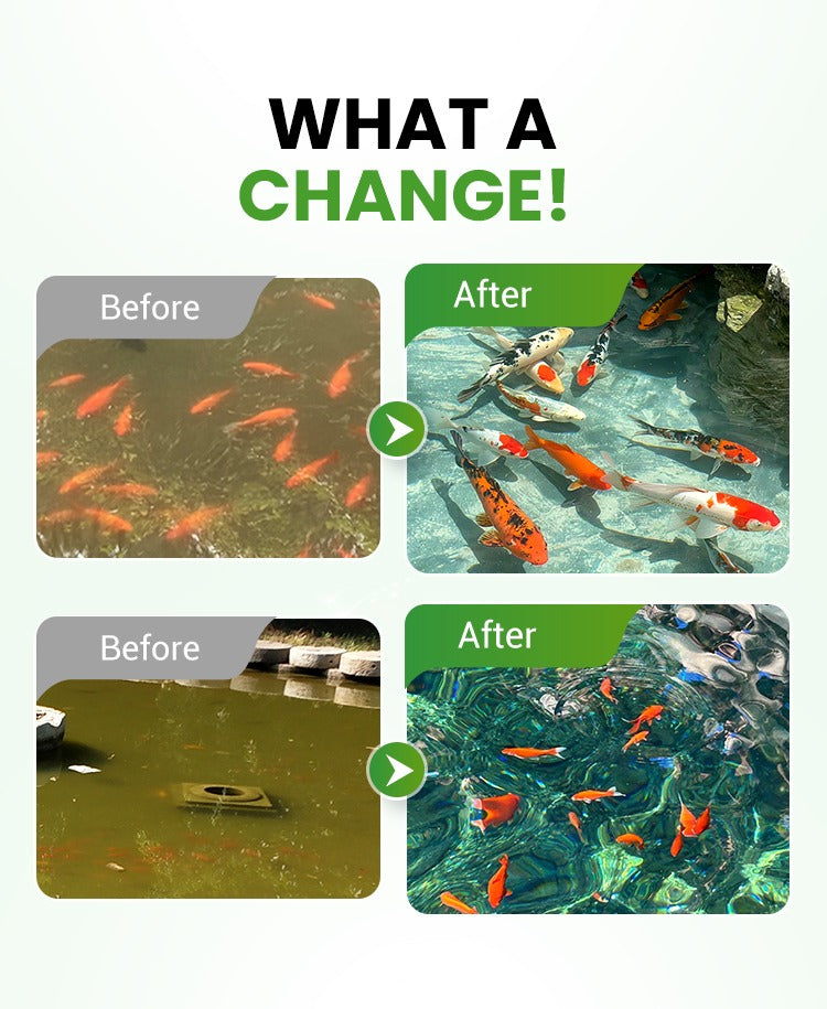 500g Premium Pond Care Powder | Water Clarifier & Algae Control 🐟
