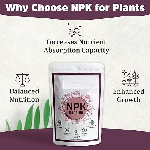 NPK 19 19 19 Fertilizer for Plants | Water Soluble Plant Fertilizer for Growth, Flowering & Fruiting | Garden & Indoor Plant Care 350gm Secondary image