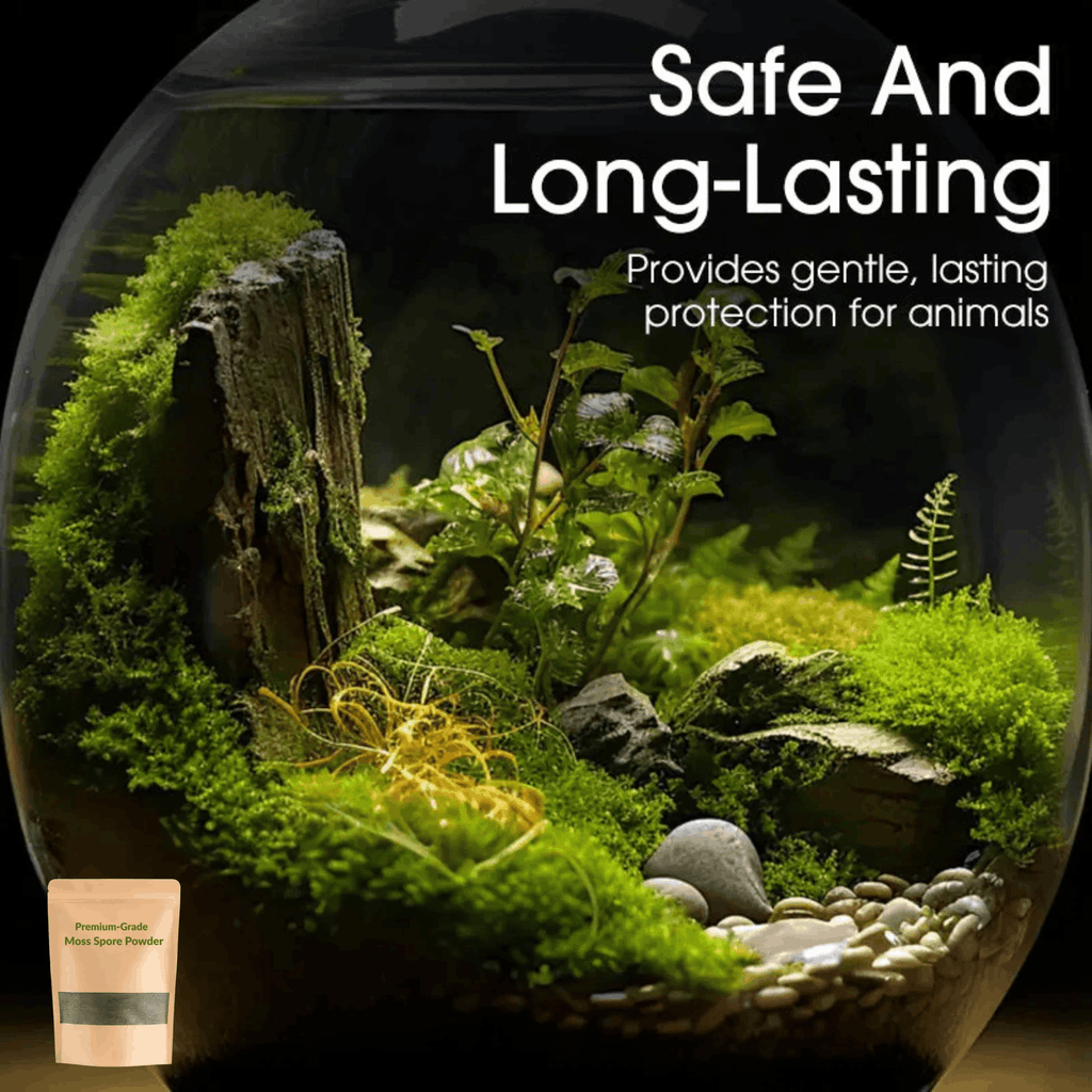 🔥Premium-Grade Moss Spore Powder🔥Buy 1 Get 1 Free🔥😍