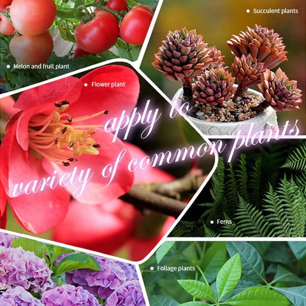 🔥2025 Hot Sale 50%OFF 🌞Home Gardening Universal Slow-Release Tablet Organic Fertilizer