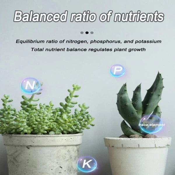 🔥2025 Hot Sale 50%OFF 🌞Home Gardening Universal Slow-Release Tablet Organic Fertilizer